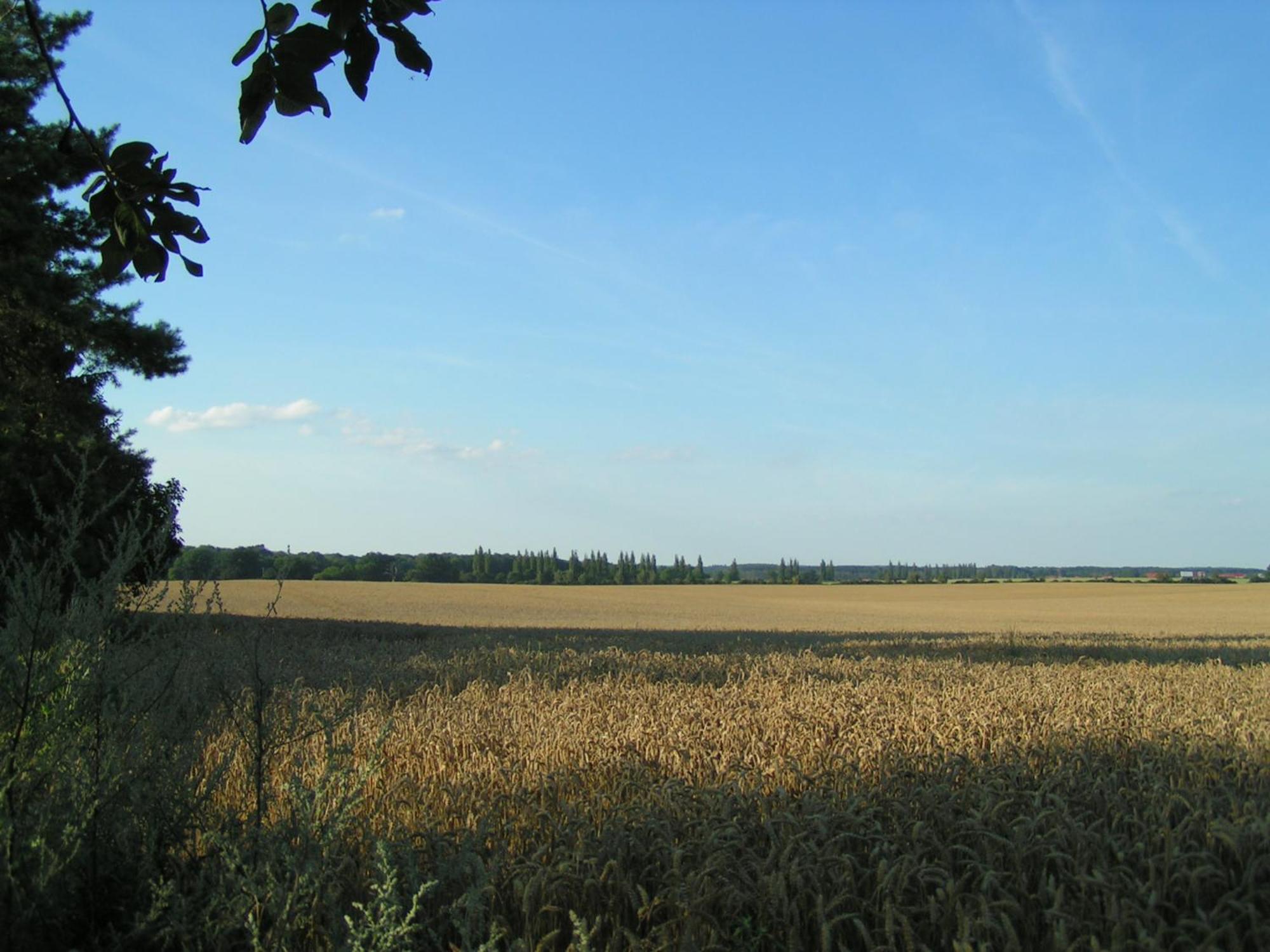 Hof Sorgenlos Gross Gievitz Bilik gambar